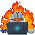 Penguin Kevin