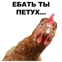Петушары