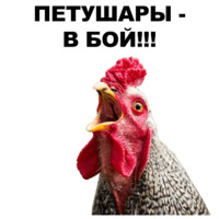 Петушары