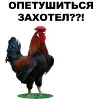 Петушары
