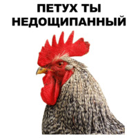 Петушары