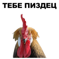 Петушары
