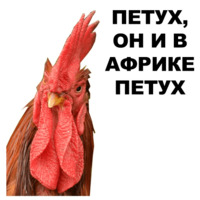 Петушары