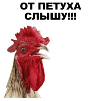 Петушары