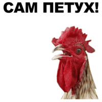 Петушары