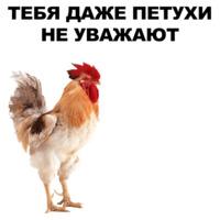 Петушары