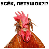 Петушары