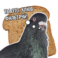 Философствующие голуби