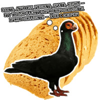 Философствующие голуби