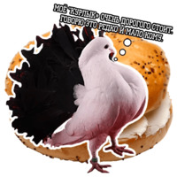 Философствующие голуби