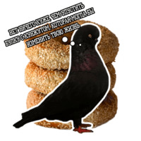 Философствующие голуби