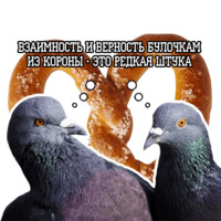 Философствующие голуби