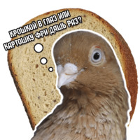 Философствующие голуби