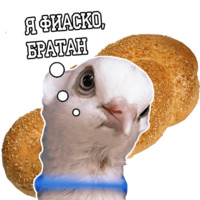 Философствующие голуби