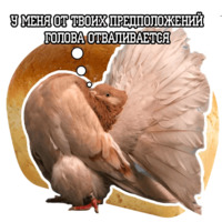 Философствующие голуби