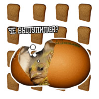 Философствующие голуби