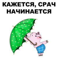 Свинопак