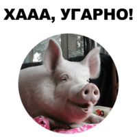 Свинопак
