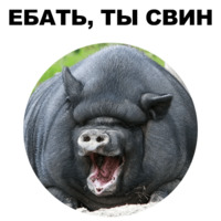 Свинопак