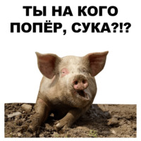 Свинопак