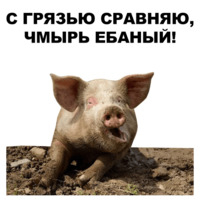 Свинопак