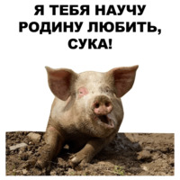 Свинопак