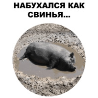 Свинопак