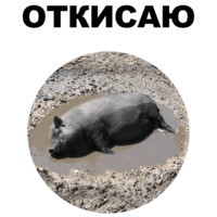 Свинопак