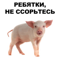 Свинопак