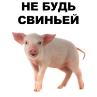 Свинопак