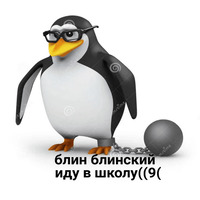 Пингвин-мем