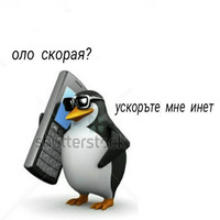 Пингвин-мем