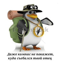 Пингвин-мем
