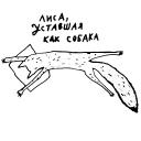 fafafa