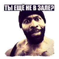 Плюшевая Борода
