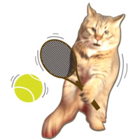 Сибирскя кошечка