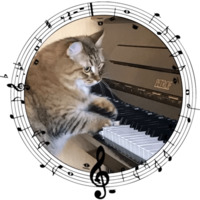Сибирскя кошечка