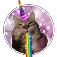 Сибирскя кошечка
