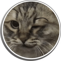 Сибирскя кошечка