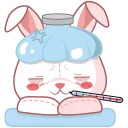 cute plush bunny