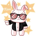 cute plush bunny