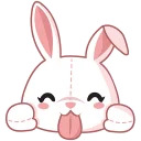 cute plush bunny