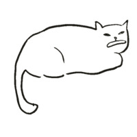 Пнг коты
