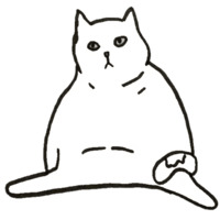 Пнг коты