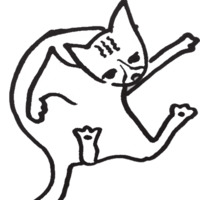 Пнг коты