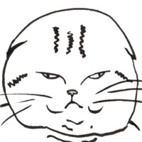 Пнг коты