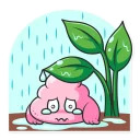 Poopoo