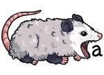 awesomepossum (@kotypic)