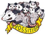 awesomepossum (@kotypic)