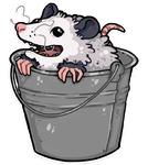 awesomepossum (@kotypic)